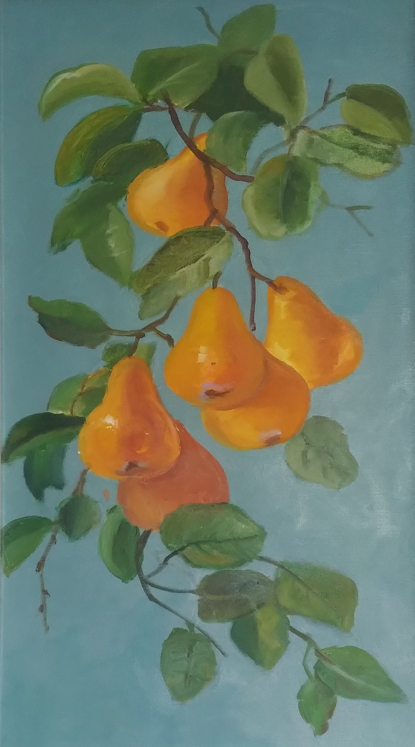 گلابی 