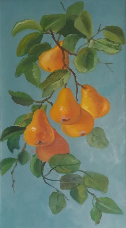 گلابی 